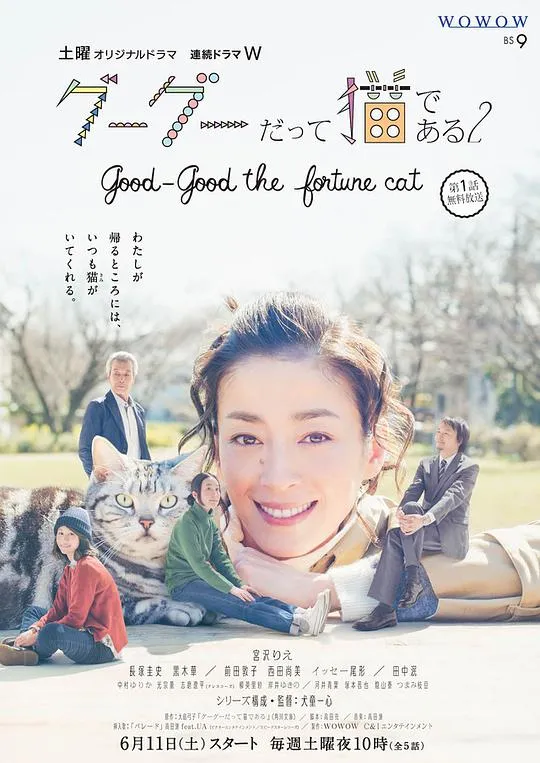 跳芭蕾舞的男孩